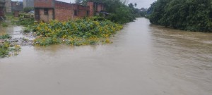 वीरगञ्ज सिर्सिया नदीको पानी बस्तीमा पस्यो, सतर्कता अपनाउन मेयरको आग्रह 