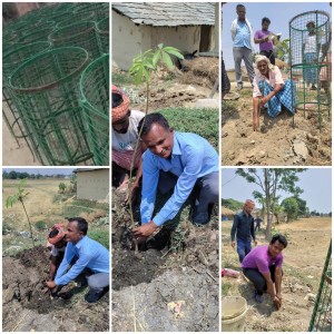 बहुदरमाई नगरपालिका वडा नं ७ को फूलकौल सडकको दायाँवायाँ हरियाली बनाउने कामको शुभारम्भ