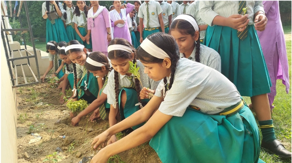 विश्व वातावरण दिवसको अवसरमा भिष्वा डाँडामा वृक्षारोपन गरि मनाइयो